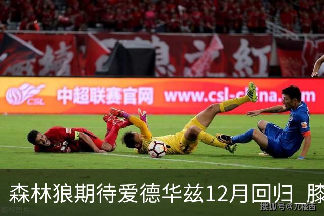 森林狼期待爱德华兹12月回归 膝部手术旨在尽快解决伤势